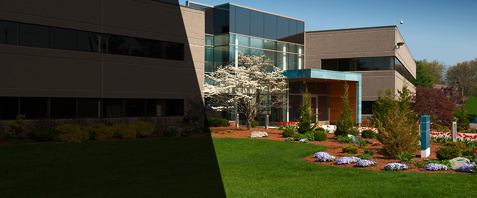 Mc Leansville Landscapers